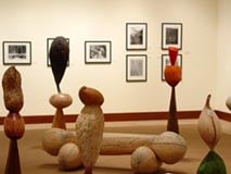 David Newton´s wood sculptures and Maia Dery´s photos (Megan Miller/ Guilfordian)