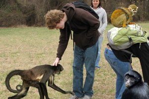 GOOFORDIAN: Guilford purchases therapeutic spider monkeys for campus