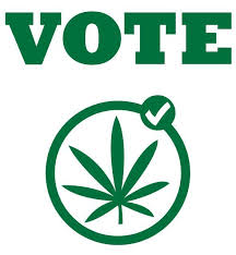 States vote pot this election