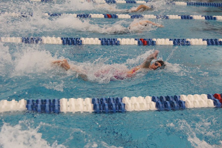 Guilford College women’s swimming sophomore swimmer Carolyn O’Halloran races at the 2017 Old Dominion Athletic Conference Swimming Championships.// Photo courtesy Guilford Athletics.