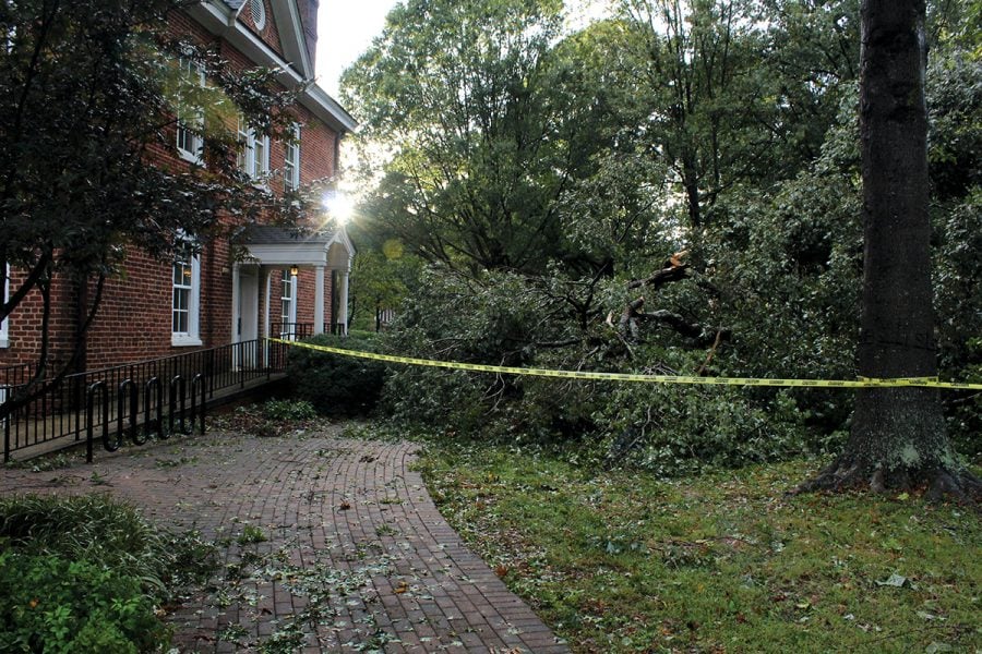 Guilford+College+Hurricane+Michael+Tree+Damage