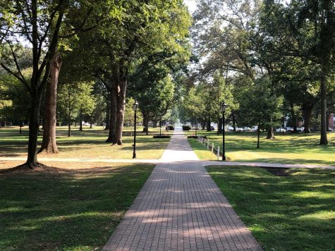 One of the many brick paths that wind through Guilfords scenic campus.