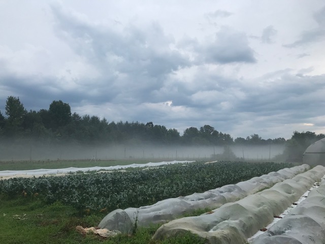 Guilford Farm // Photo by: Kathryn Hurst // The Guilfordian