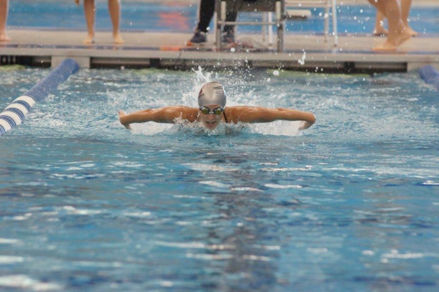 Carolyn+OHalloran+competes+in+a+butterfly+event