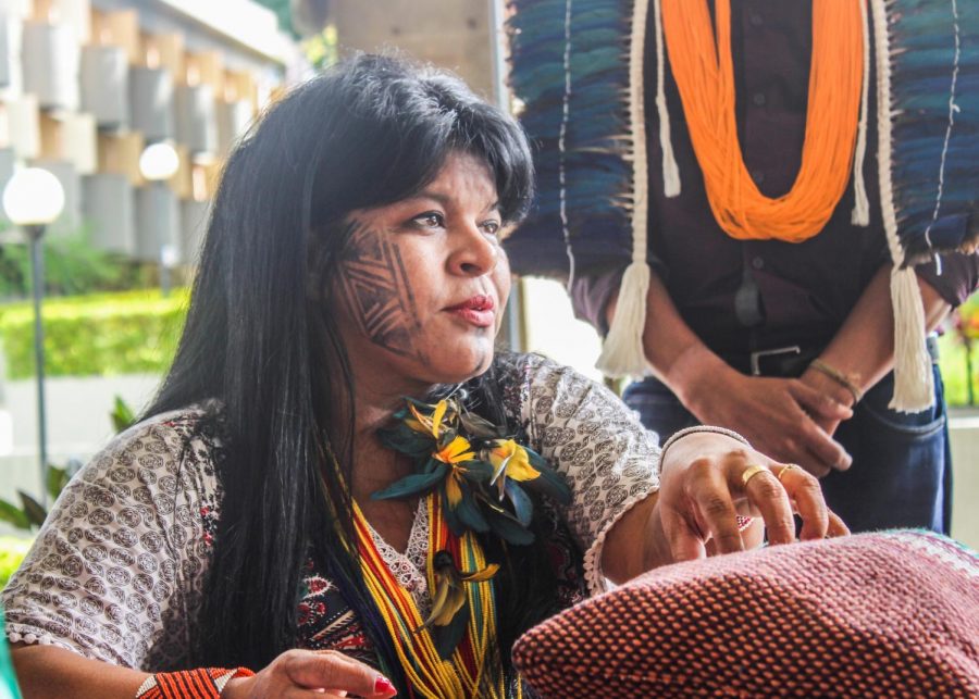 Sonia Guajajara, depicted above, is the executive coordinator of the Association of Brazils Indigenous Peoples and works to combat social injustice.