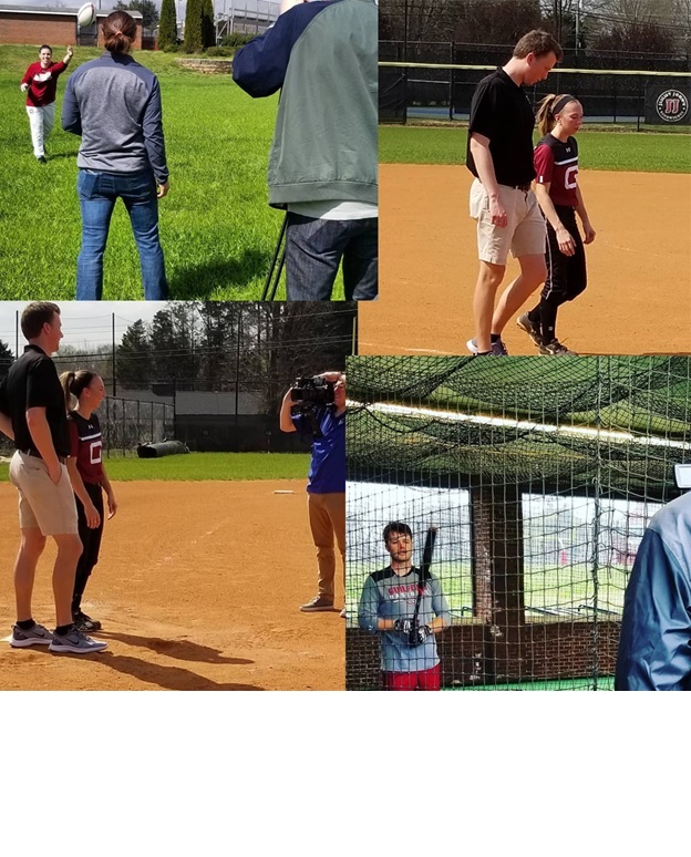 spring 2020 sports collage