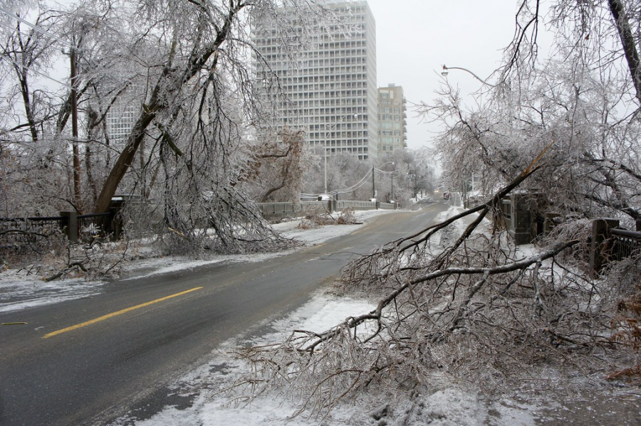 Inclement+weather+conditions+such+as+fallen+trees+caused+power+outages+across+Greensboro.