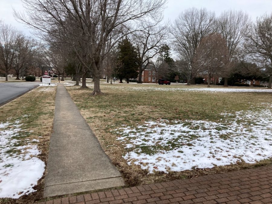 Melted snow across the front field of Dana Auditorium.