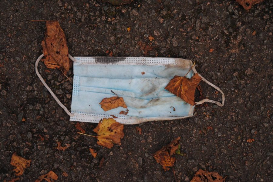 A discarded COVID-19 mask in the fall.