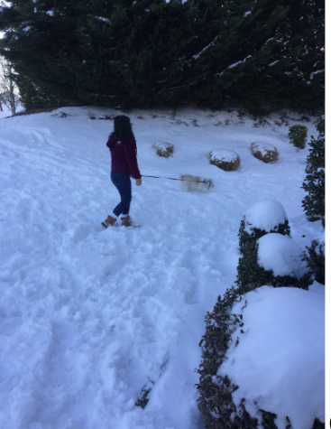 Sierra (writer) and her dog enjoying the snow.