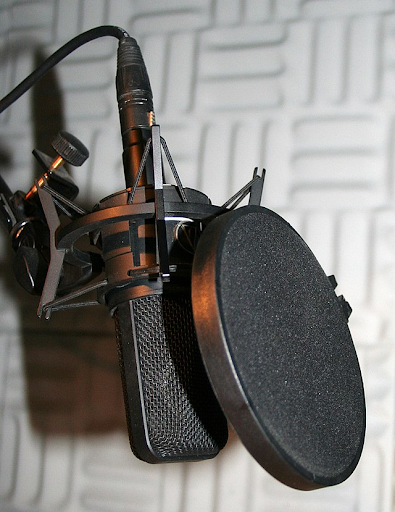 The Guilfordian will debut the future of the publication's multimedia direction on WQFS.