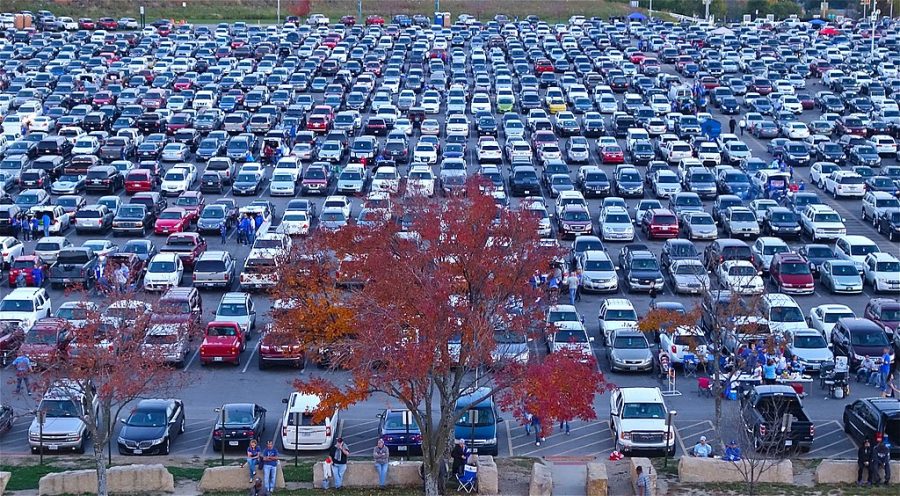 Who needs trees when you can put up a perfectly paved parking lot?