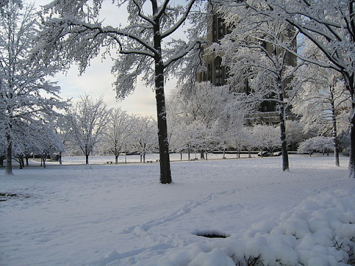 A snowy winter wonderland in Seattle, Washington, that honestly looks like my worst nightmare. 