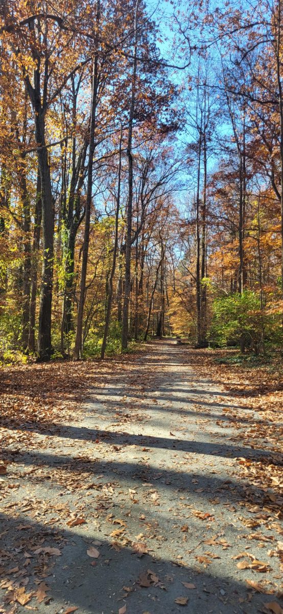 Changing of the Leaves